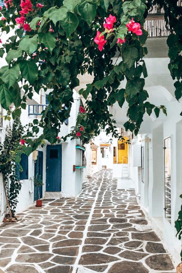The best things to do in Paros | A taste of Greece - Jill on journey